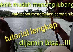 Cara Mancing Ikan Nila Babon Liar