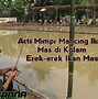 Mimpi Dapat Ikan Kecil Banyak Togel